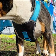 doodlebone x over harness