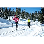fischer sport glass cross country skis