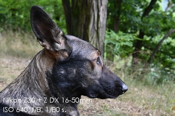 Nikon Z DX 16-50mm VR - recenzia