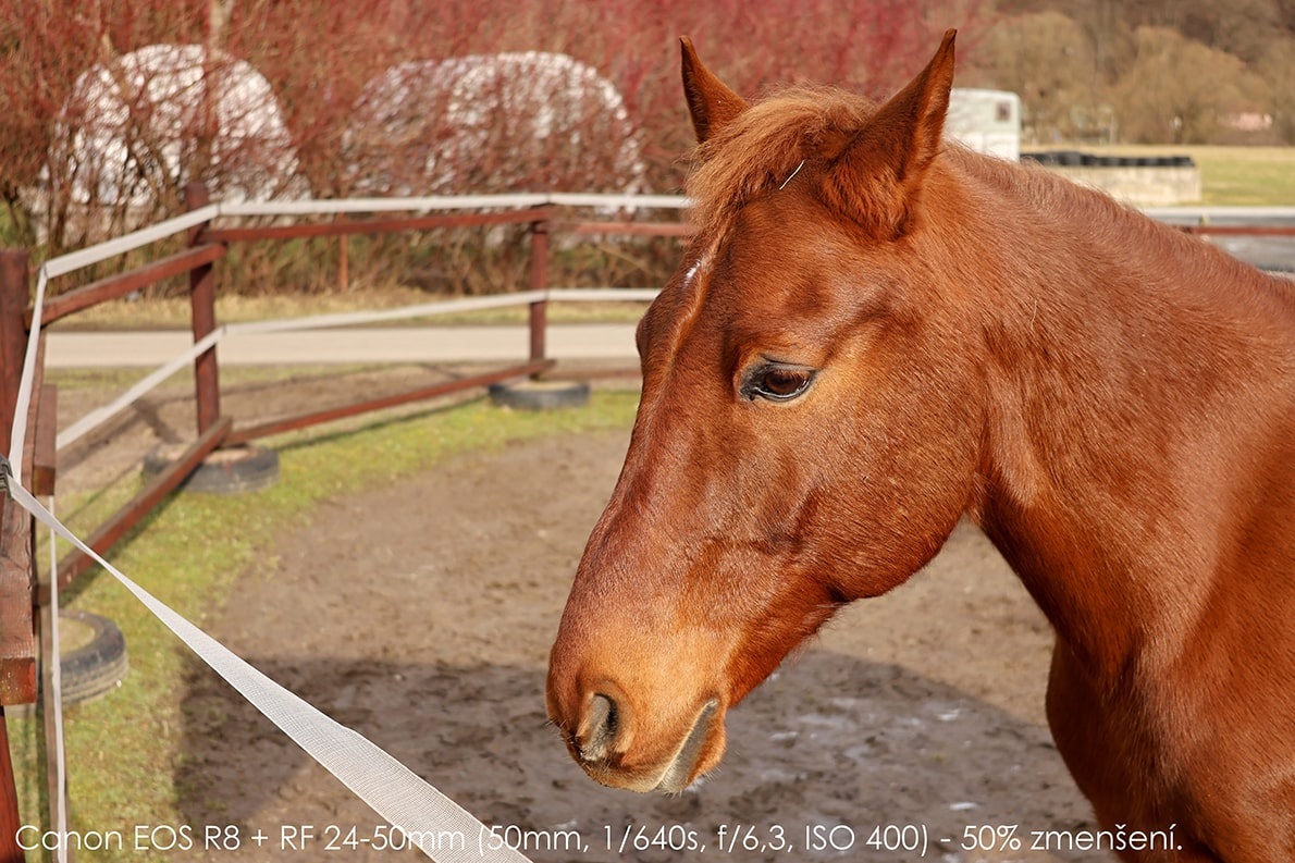 Medaile 45 Mm, FOT - Sport And Service S. R. O - Foto 7