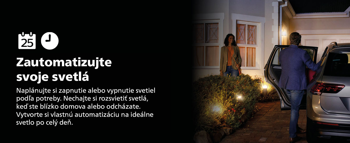 Philips Hue low volt