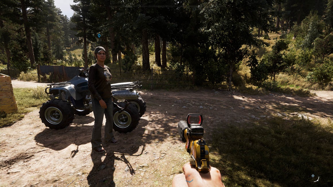 Far Cry 5 – Tiene – Ultra