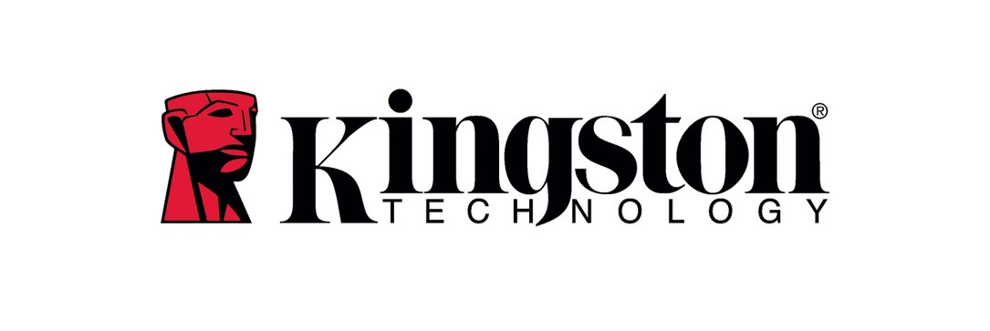 Pamäte Kingston logo
