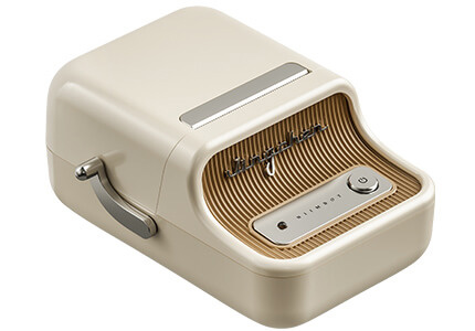 niimbot b21