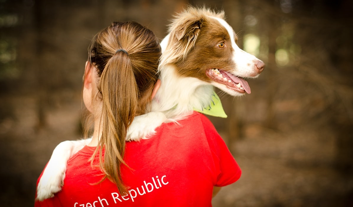 Agility pre začiatočníkov 