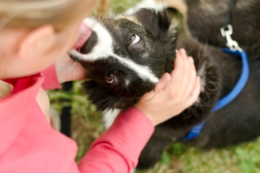 Agility pre začiatočníkov 
