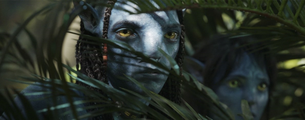 Avatar: The Way of the Water; wallpaper: cover
