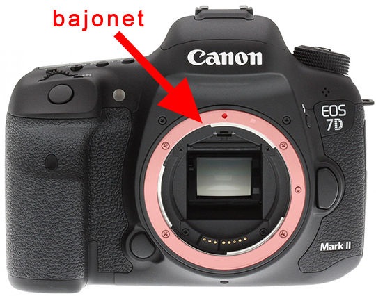 Bajonet