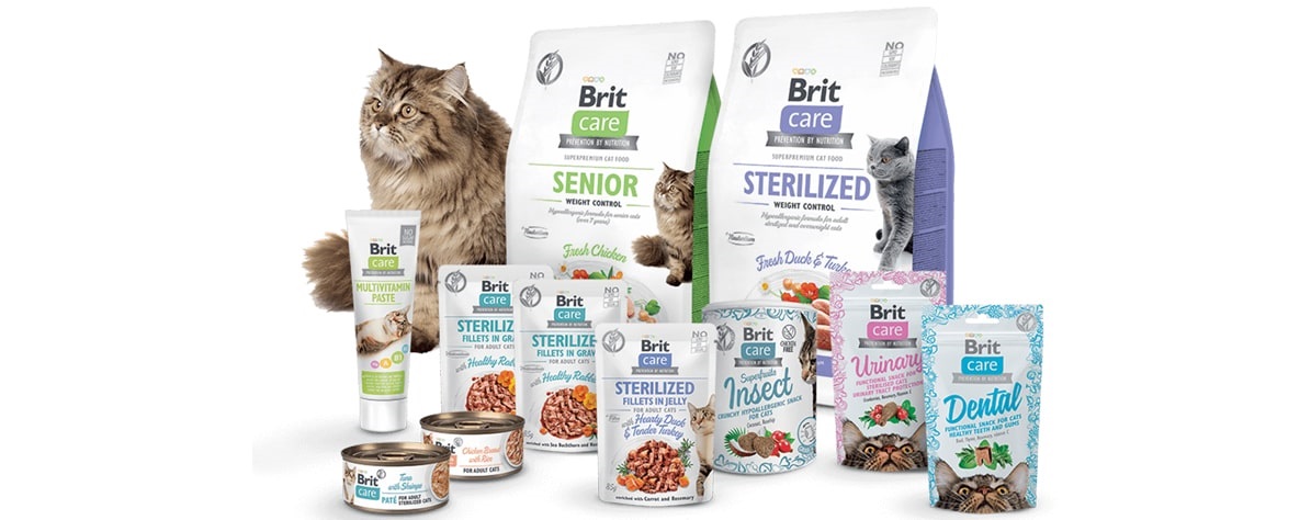 Krmivo Brit pre mačky