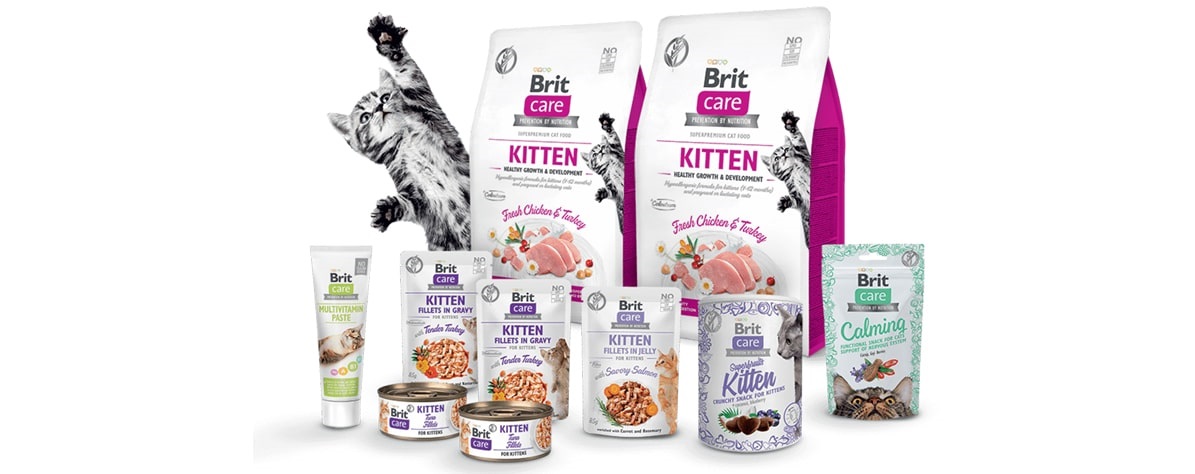 Krmivo Brit pre mačky