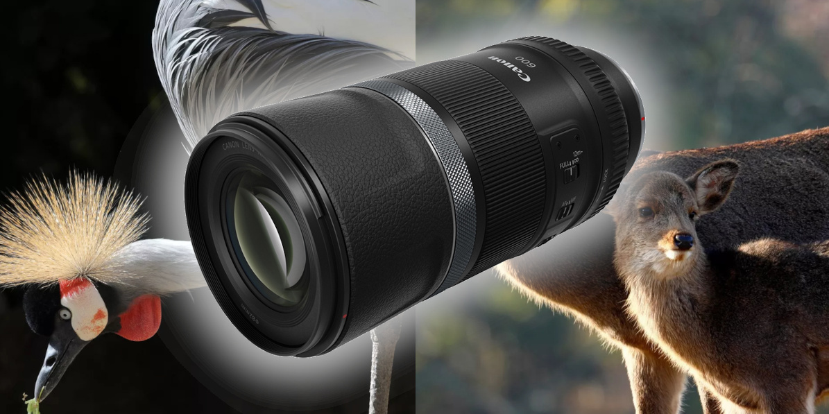 Canon RF 600 mm F11 IS STM - recenzia