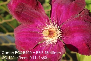 Canon RF-S 18-45mm objektív