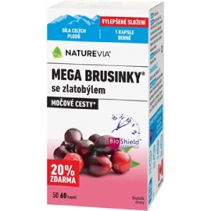Doplnky stravy na močové cesty