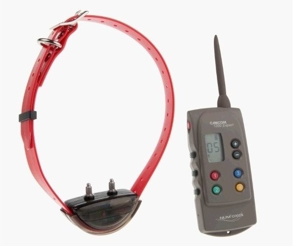 elektronický obojek pro psa