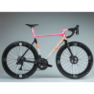 FESTKA SPECTRE prémiový karbónový bicykel