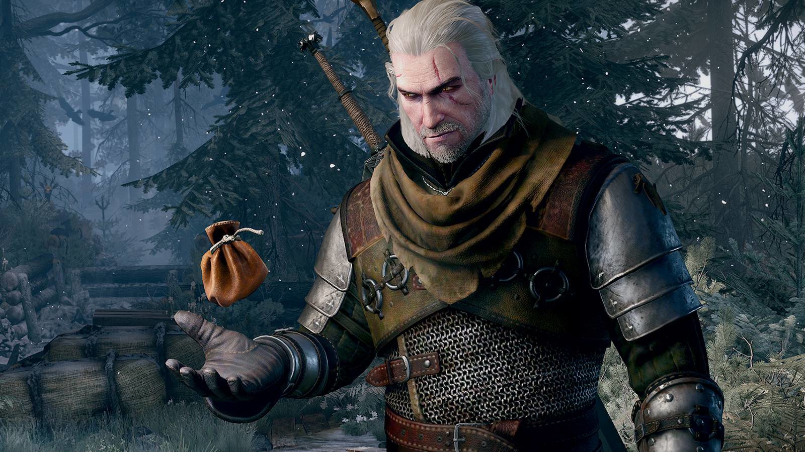 Witcher; screenshot: cover