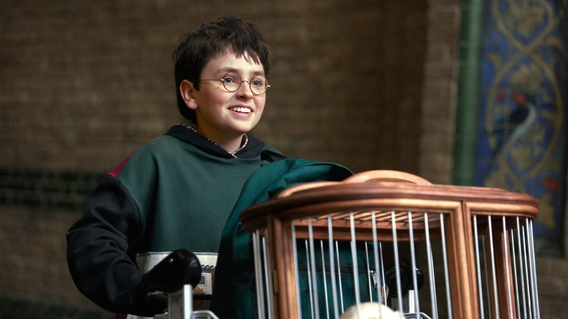 Harry Potter seriál; screenshot: cover