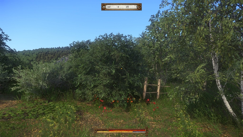 Kingdom Come: Deliverance PS4; stromy a kríky