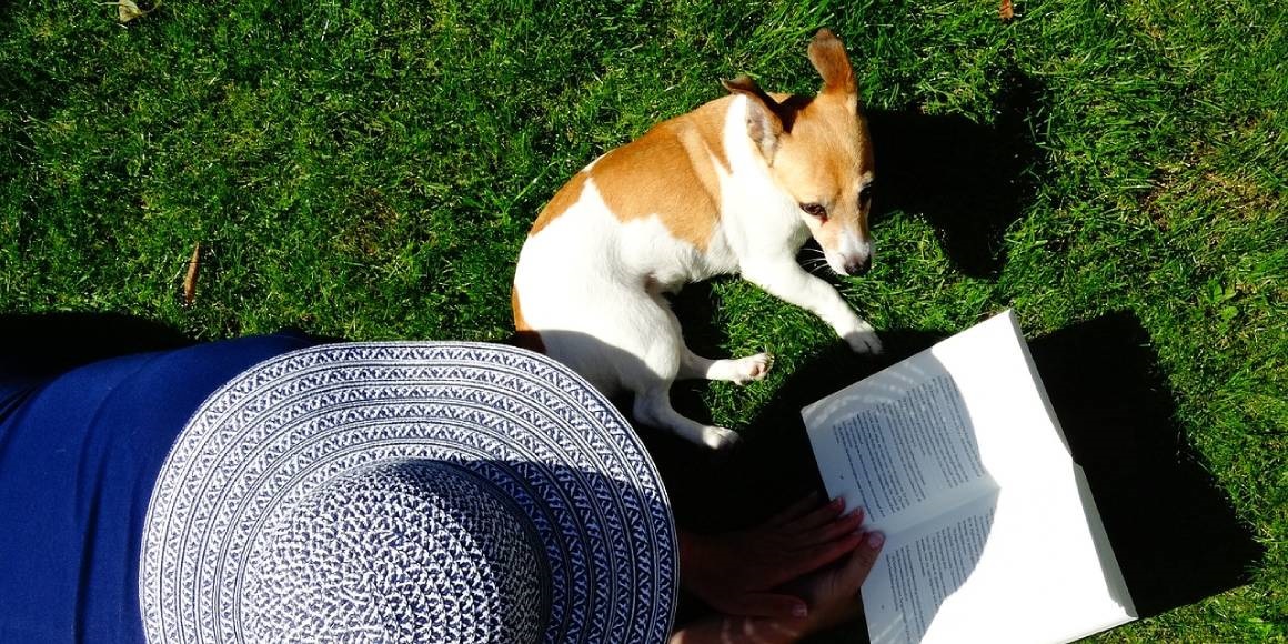 léto se psem; pes na zahradě