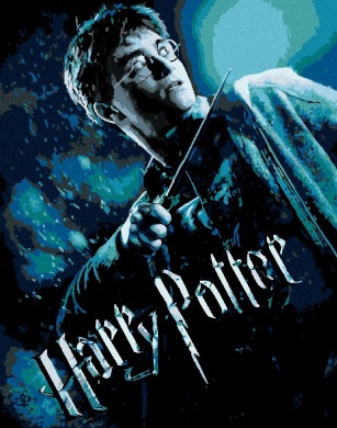 Maľovanie podľa čísel Harry Potter
