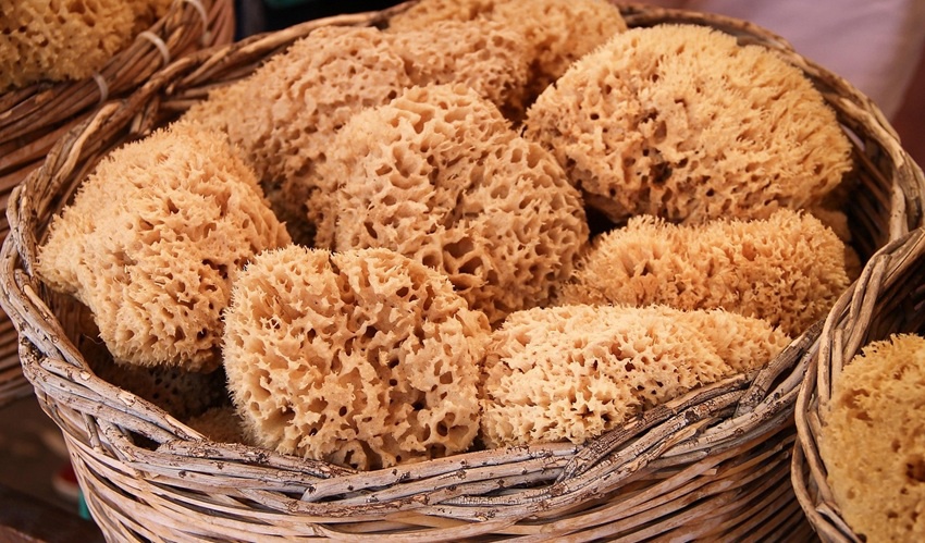 Menštruačné pomôcky