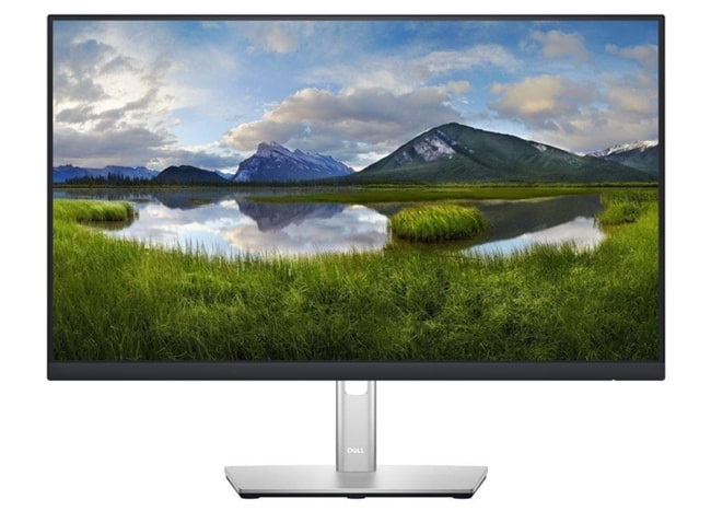 Monitory