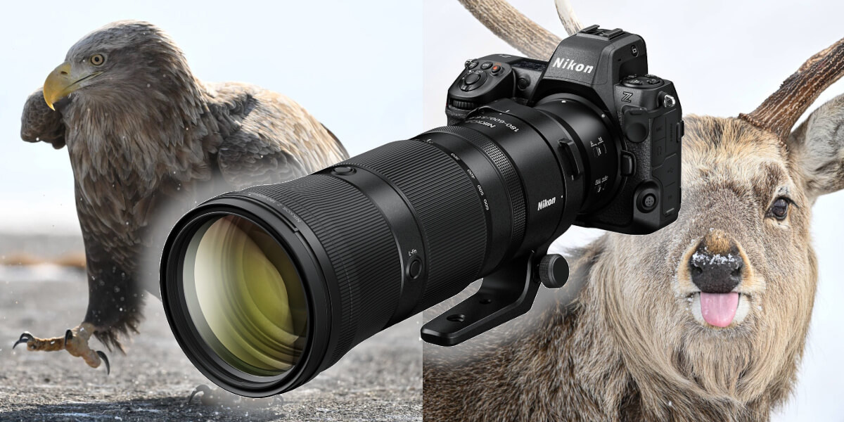 Nikon Z 180 – 600 mm - recenzia