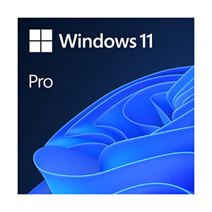 Softvér pre firmy Windows 11 Pro