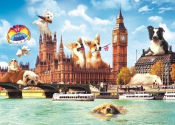 Puzzle Londýn psíkovia