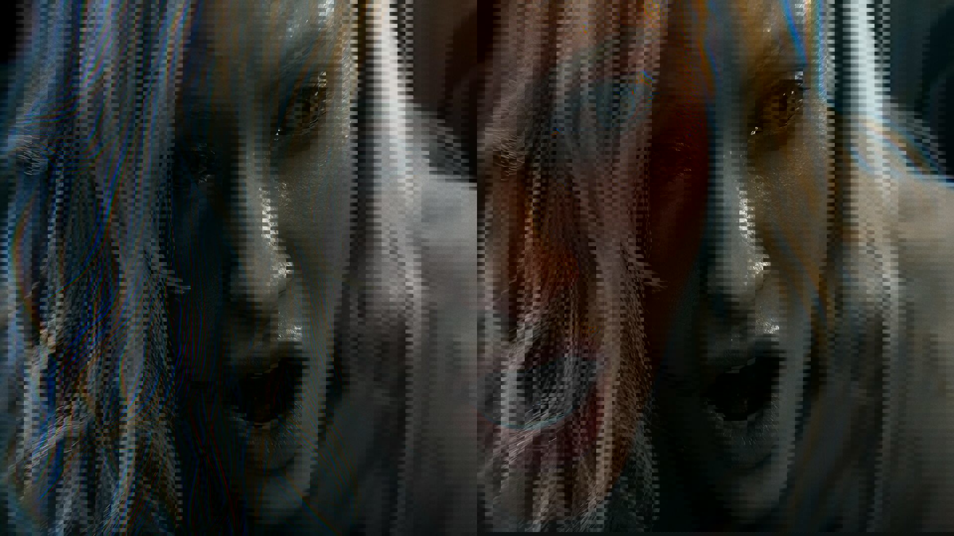 Resident Evil Requiem; screenshot: cover