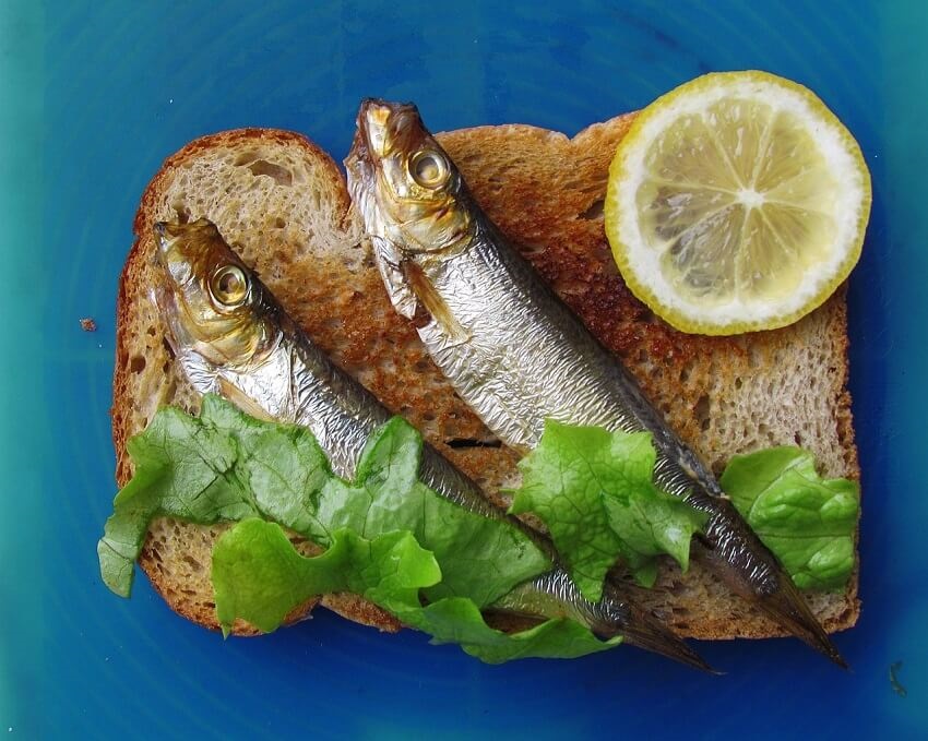 sardinky; tousty z toustovača; recepty