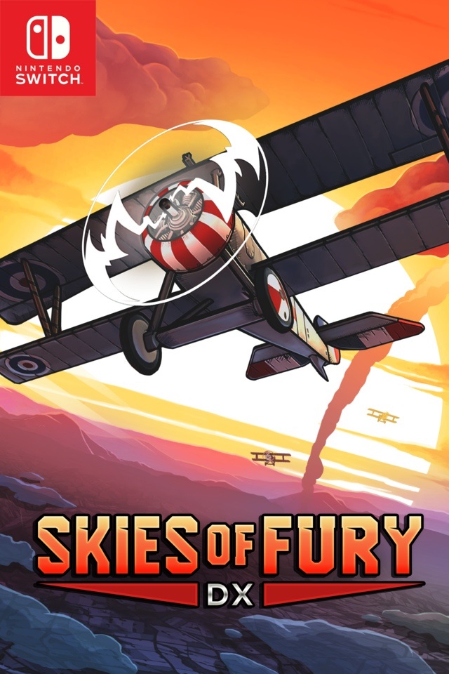 Skies of Fury DX; recenzia