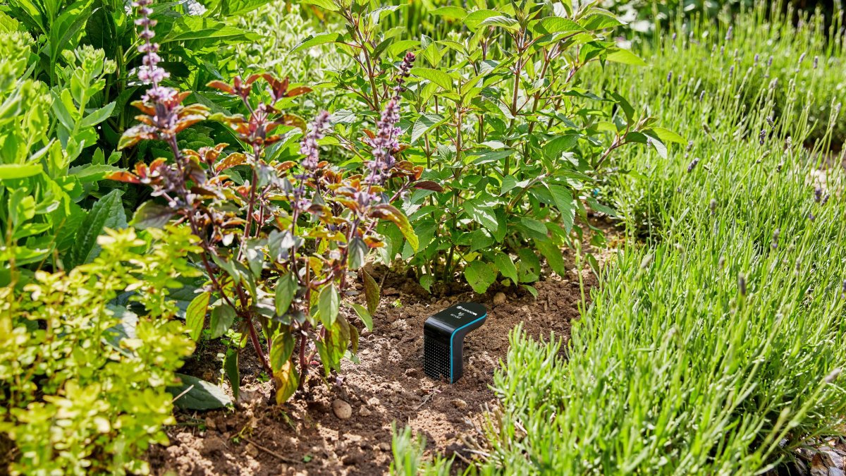 Inteligentná záhrada