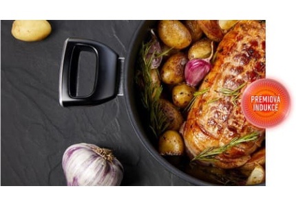 Panvice Tefal