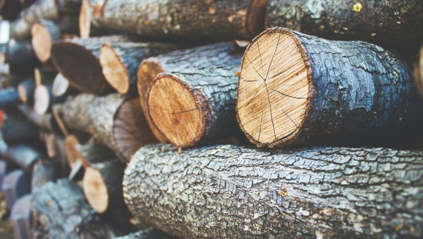 Tvrdé a mäkké drevo na kúrenie