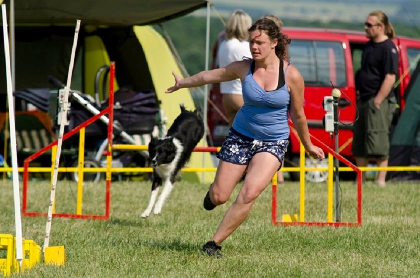 Slalom agility