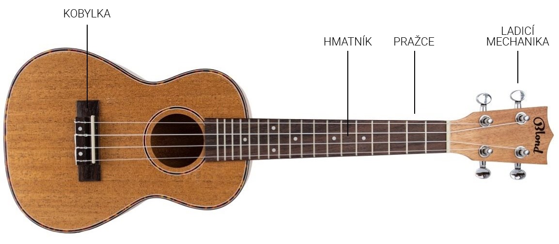 Ukulele
