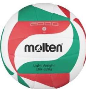 Volejbalová lopta molten