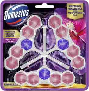 WC blok domestos