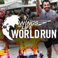 CONCEPT VR3210 3 v 1 Laser UVC