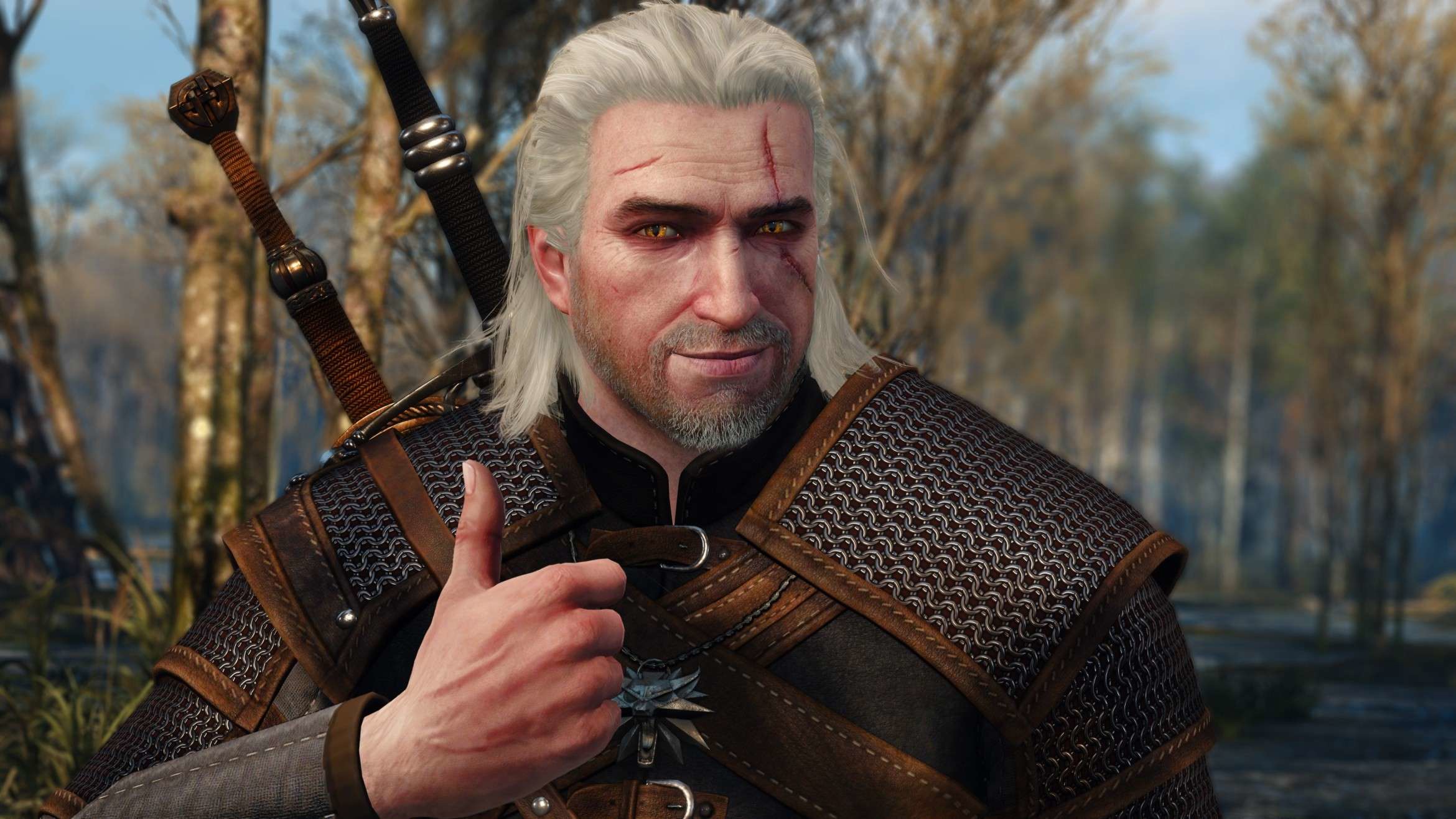 The Witcher 3; screenshot: cover