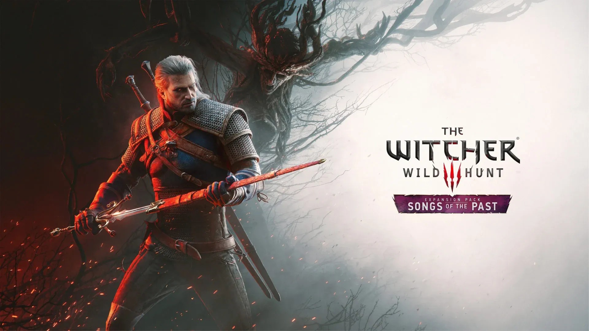 The Witcher 3; screenshot: cover