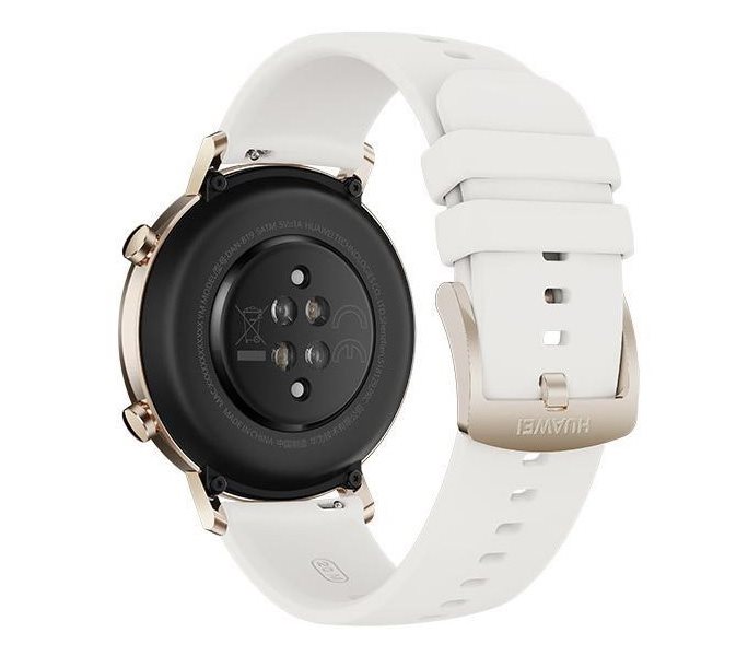 watch gt 2 42