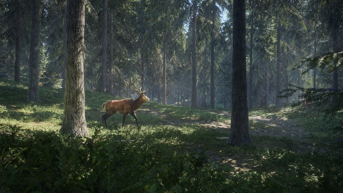 The Hunter – Call Of The Wild – 2019 Edition 