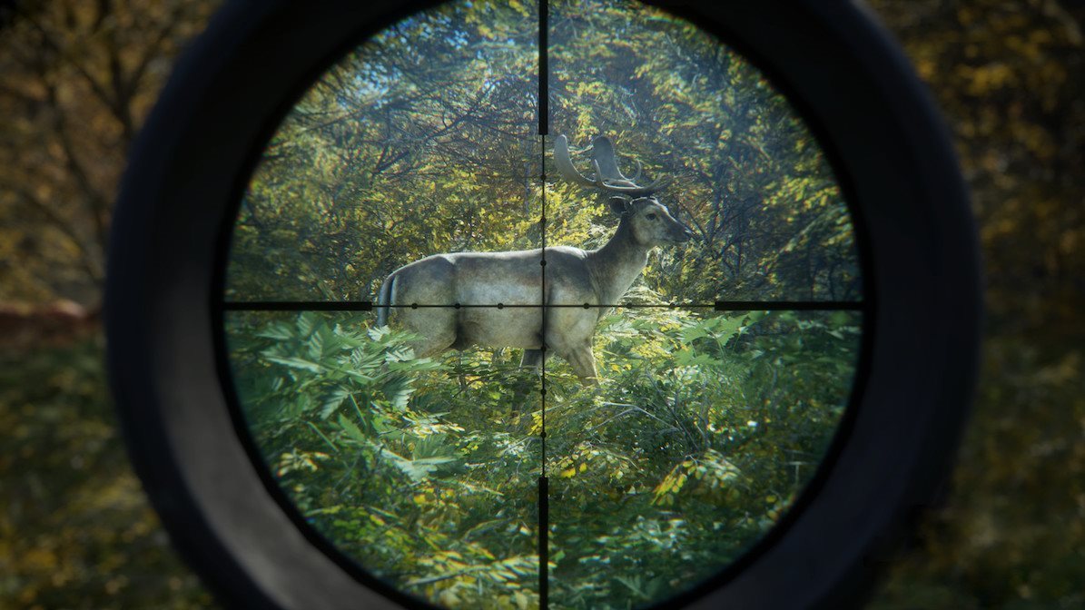 The Hunter – Call Of The Wild – 2019 Edition 