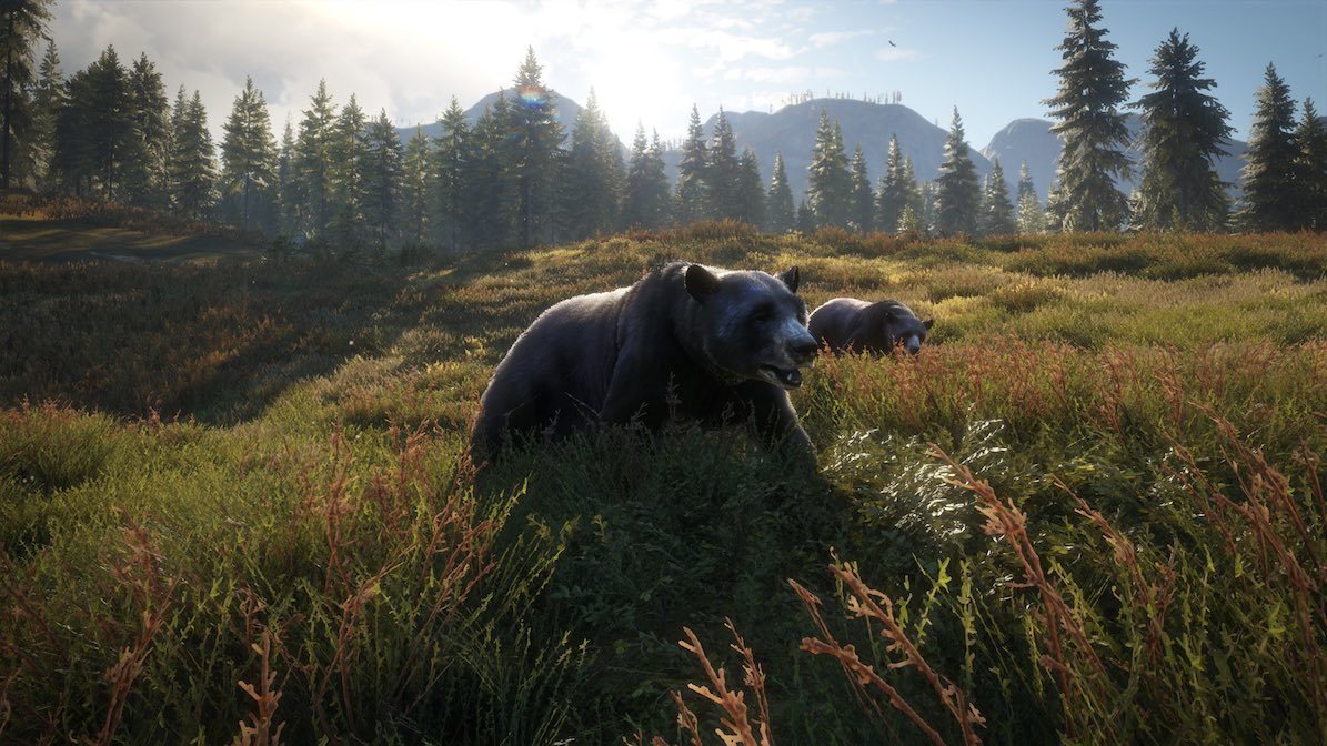 The Hunter – Call Of The Wild – 2019 Edition 