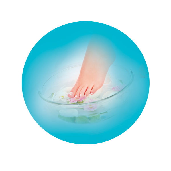 scholl velvet