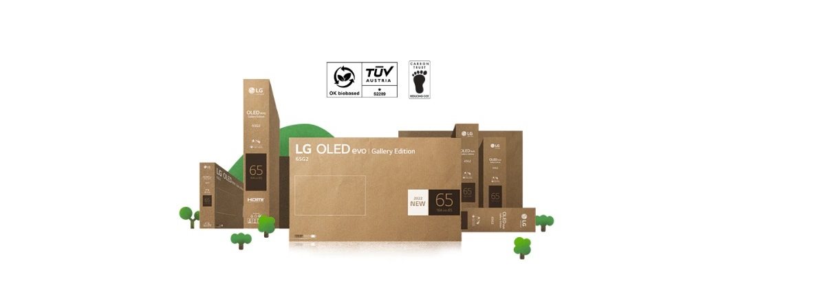 TV 65" LG OLED65C21 SMART OLED