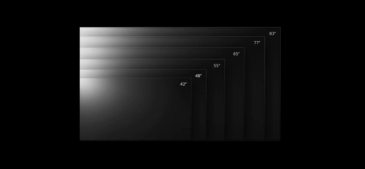 Televízor 65 palcov LG OLED65C21 SMART OLED