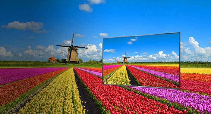Technologie Wide Colour Phosphor Wide Colour Phosphor